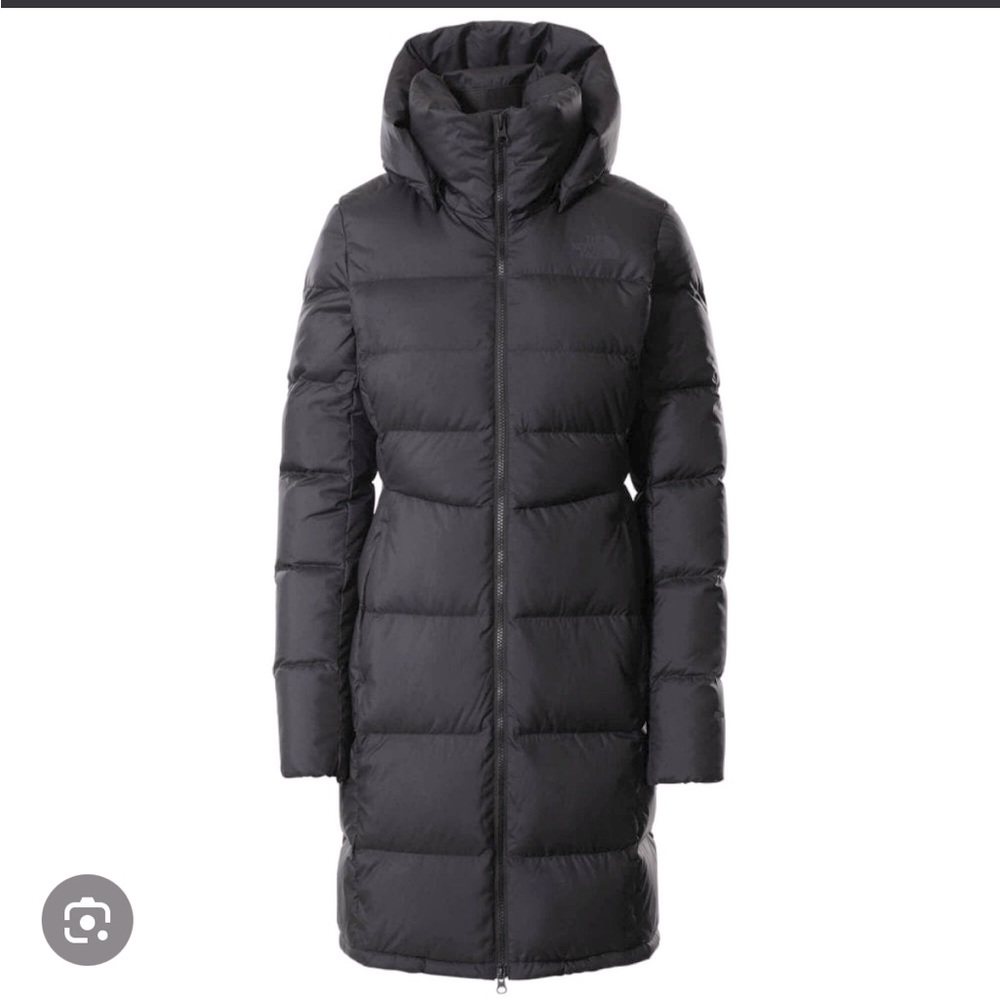 The north face black down parka